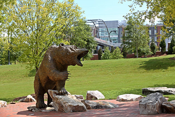 Growling Bear Statue